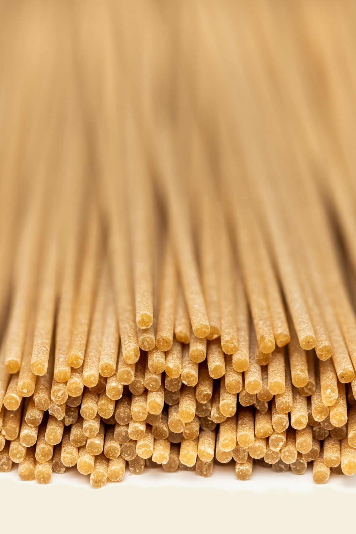 Whole Wheat Spaghetti — spaghetti_integrali_macro_F4EFDD.png